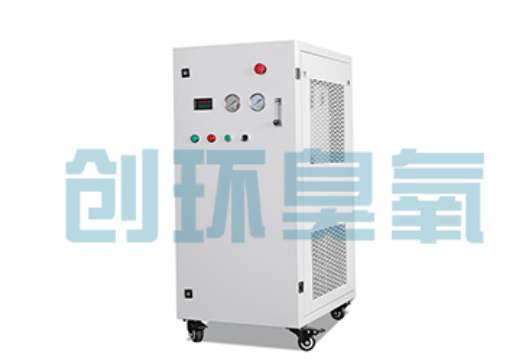 东莞石斑鱼养殖水质调控完整指南：臭氧发生器配置与操作步骤
